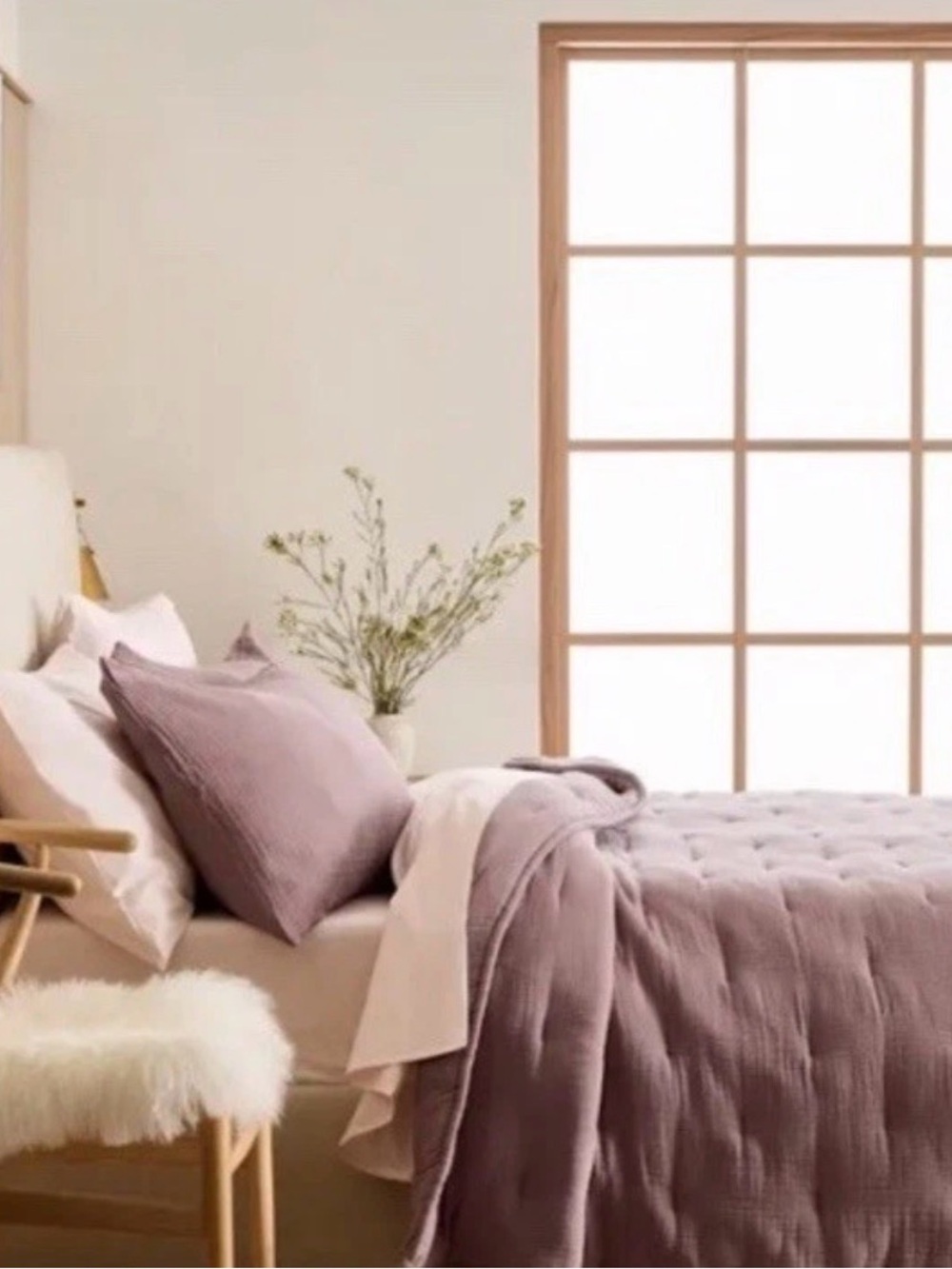 Quince Airy Guaze Quilt and Sham Queen Fig Brand New